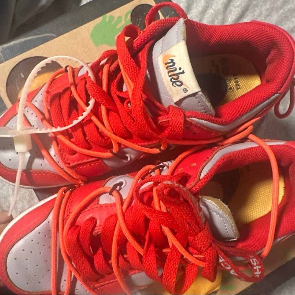 Off - White Nike Dunks